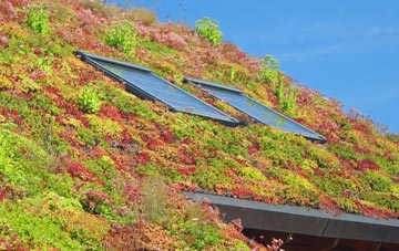 Hollingdean living roof systems