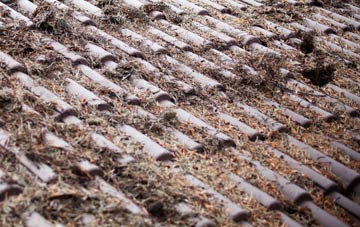 Hollingdean roof cleaning companies