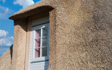Hollingdean thatch roof disadvantages