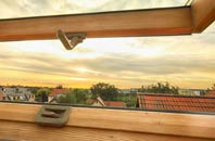 rated Hollingdean roof window companies